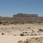 Ландшафт Хадрамаута - одной из крупнейших провинций Йемена с сухим климатом и запредельно высокими температурами летом, где практически не выпадают дожди. Из-за суровых природных условий область жила в полной изоляции и до недавнего времени осталась белым