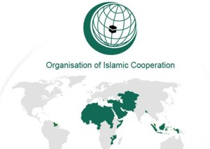 Организация Исламского сотрудничества (ОИС): история, состав и задачи